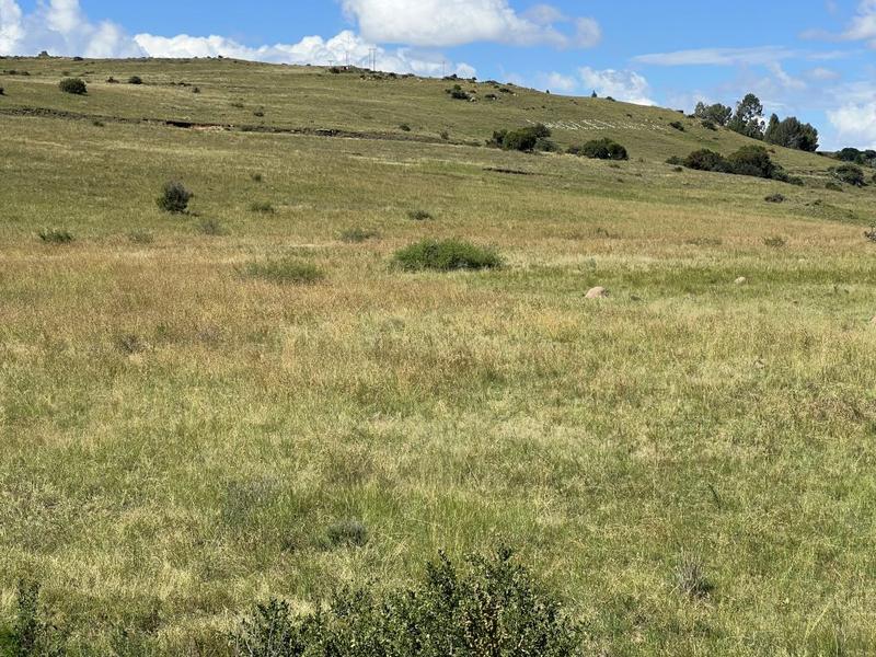 0 Bedroom Property for Sale in Lindley Free State